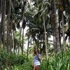 kyrashaaye